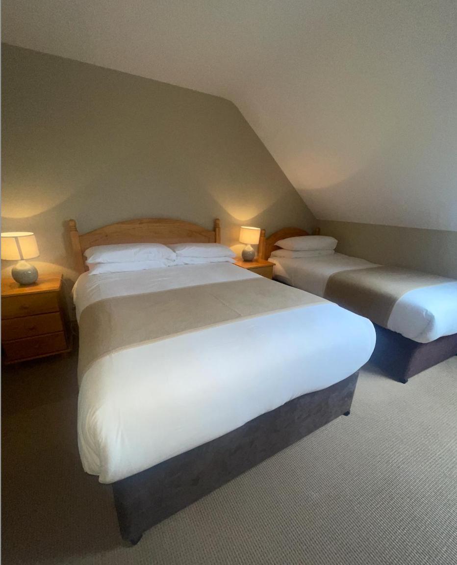 Dingle Harbour Nights Hotel Eksteriør billede